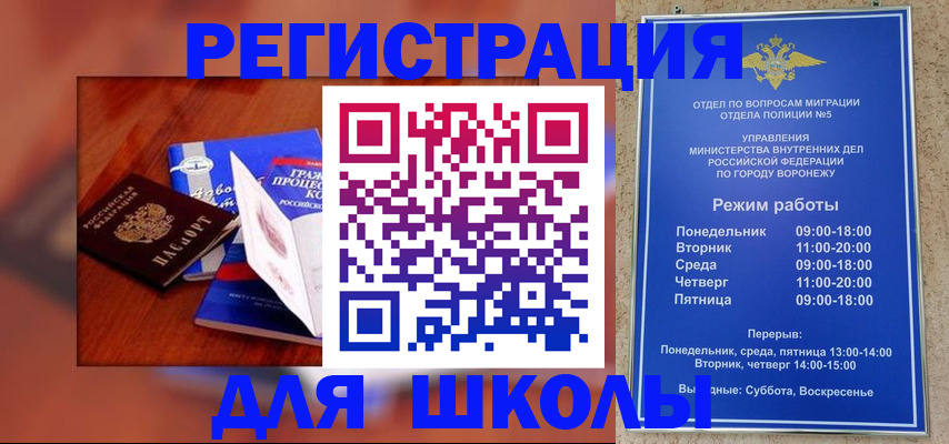 прописка для работы в Звенигово
